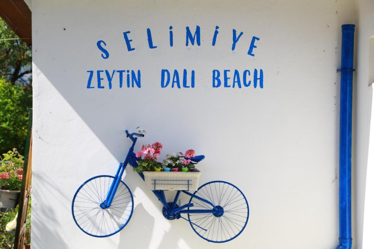 Zeytin Dali Butik Otel Selimiye  Eksteriør billede